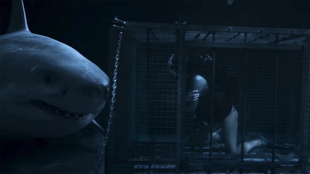 movie image
